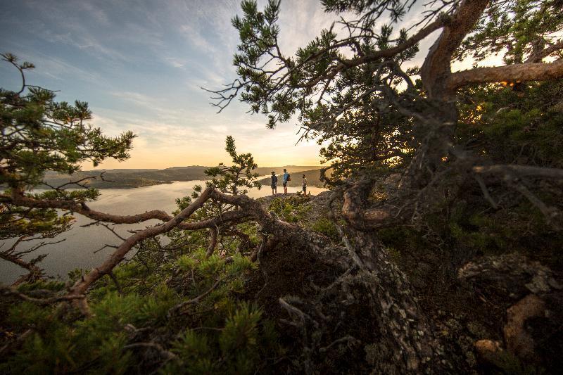 فندق Elite Plaza Oernskoeldsvik المظهر الخارجي الصورة
